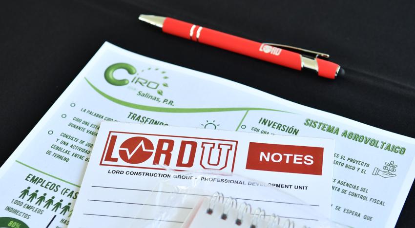 Papers with LORD U written