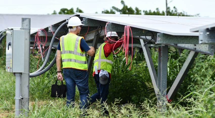 Worker2 inspecting solar panel